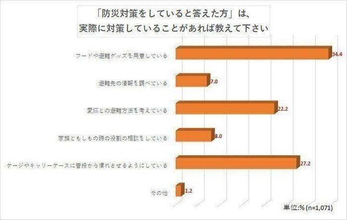 猫パンチ ソフトタッチ 新しいおもちゃへの反応に個性がでる