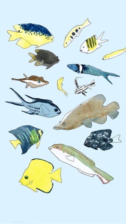 fishmansの話をしよう