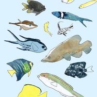 fishmansの話をしよう