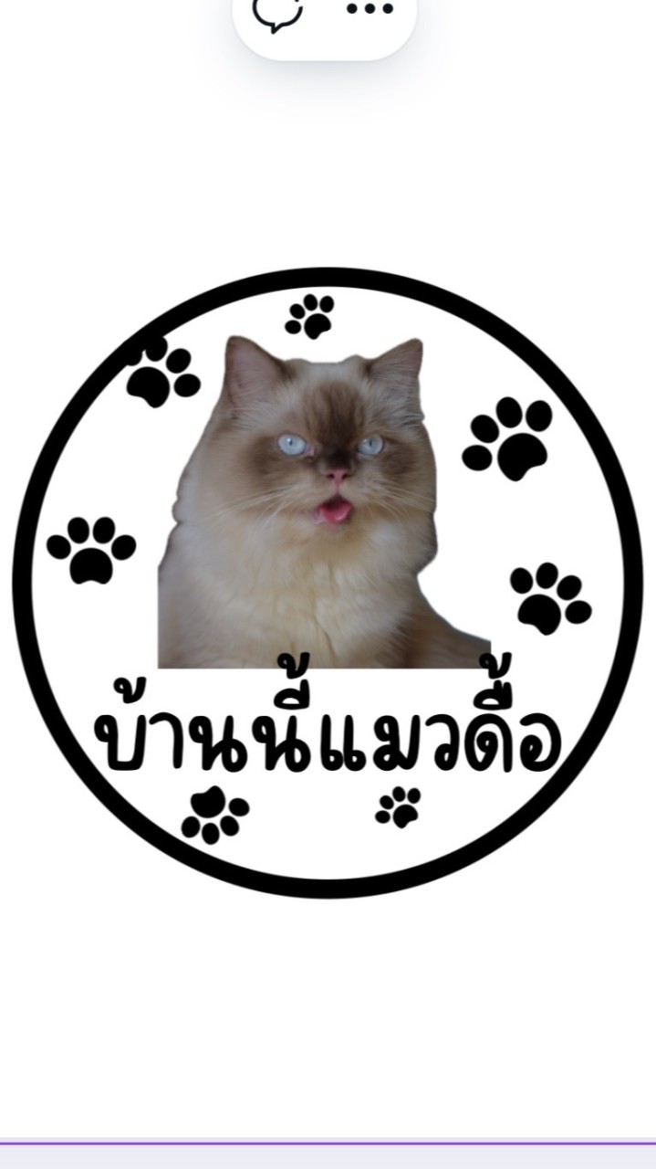 บ้านนี้แมวดื้อ😹(ภาคใต้)