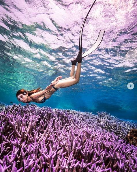 圖片來源：IG @sugarredvivi