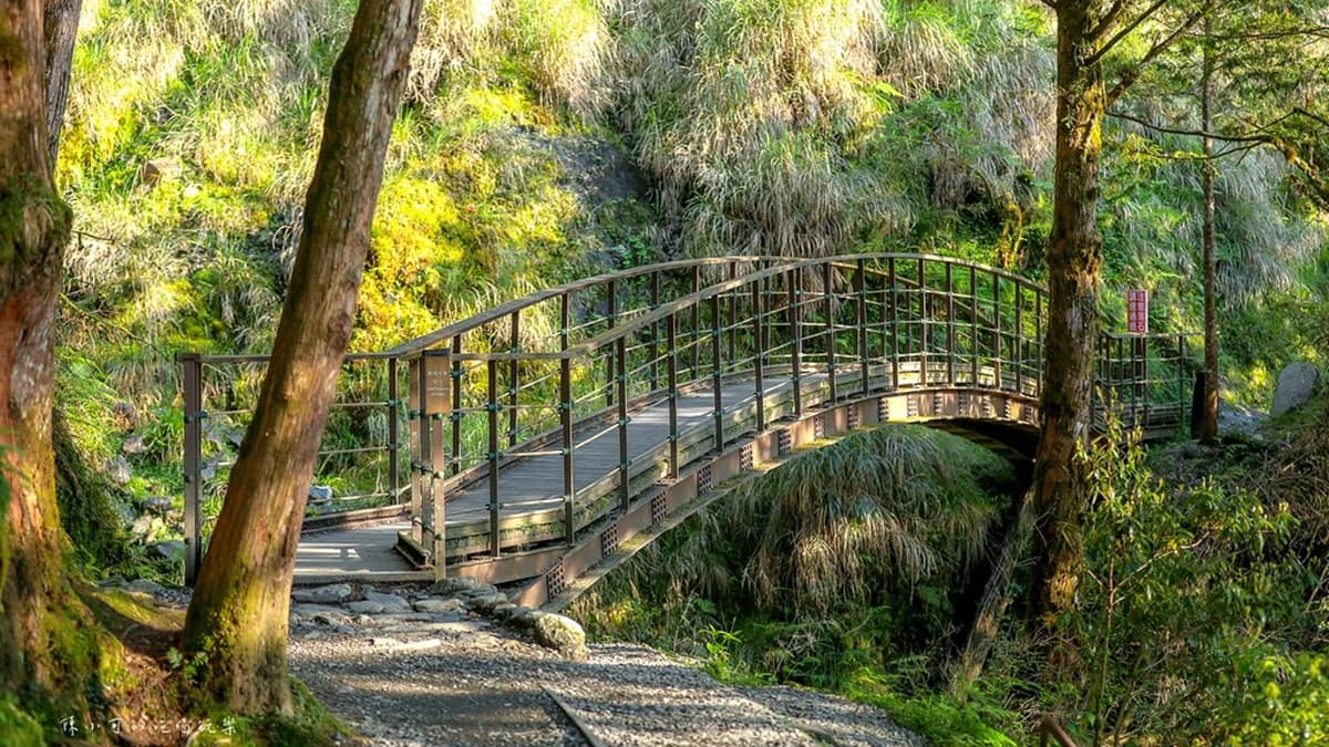 宜蘭不只抹茶山！８條私房步道衝打卡：CNN全球最美、瀑布祕境、15分鐘登頂