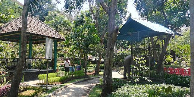 85+ Gambar Kebun Binatang Yang Belum Diwarnai Gratis Terbaik