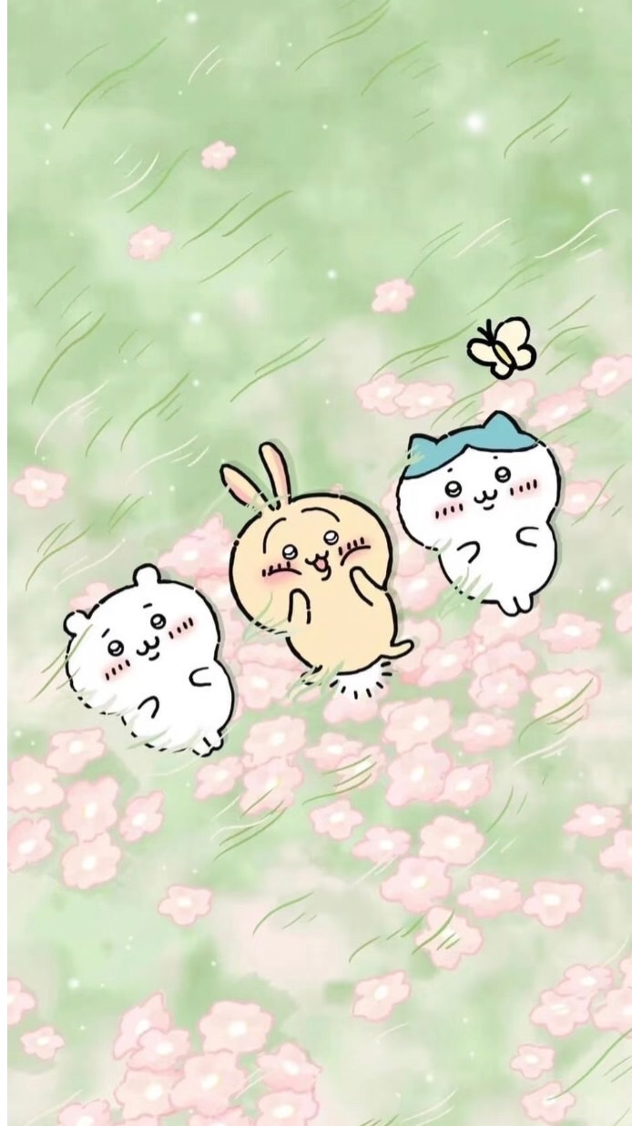 理想笨蛋