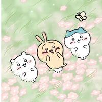理想笨蛋