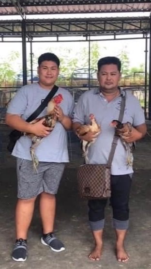 ซุ้มไก่ชน โชคเชียงใหม่ สายเลือก ส.มีสุวรรณ