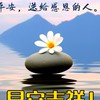 寶聖健康教室