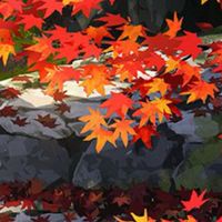世界一緩い緩也～～！！ライブトークを添えて~~