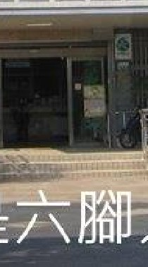 我是六腳人