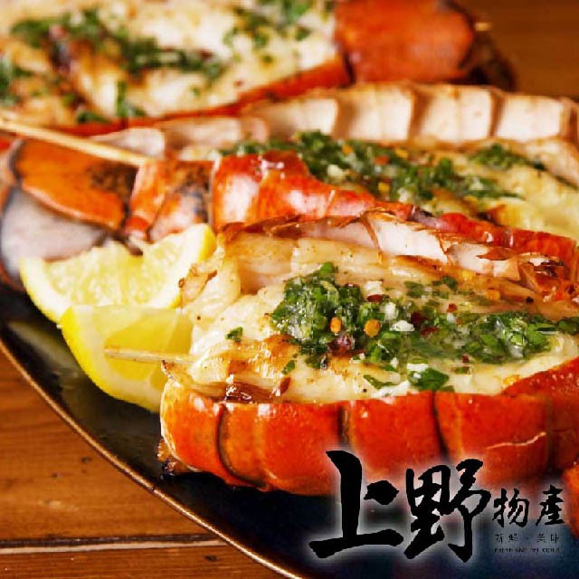 鮮嫩彈牙雪白滑嫩來自海洋的好味道龍蝦.蝦仁.鮭魚.螃蟹.料理包.冷凍