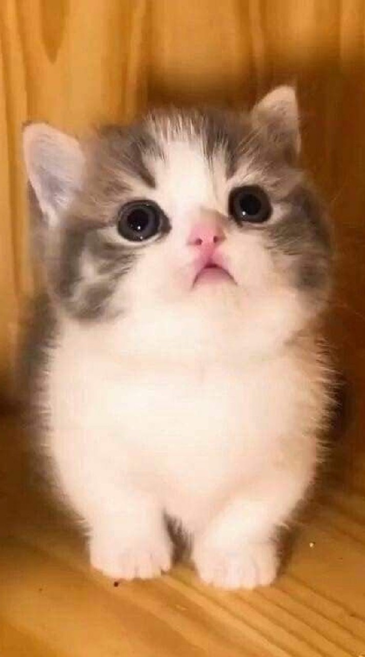 กลุ่มคนเกลียดลุงตู่🖕🏻🌈🧸