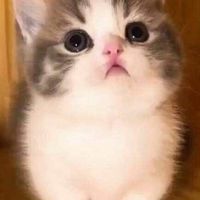 กลุ่มคนเกลียดลุงตู่🖕🏻🌈🧸