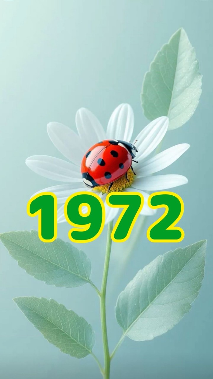 ⭐️ゆっくりどうぞ🤗1972🌏