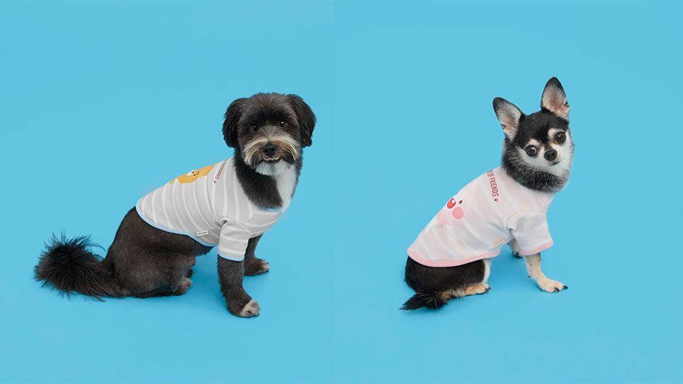 圖片來源：KAKAO FRIENDS.KR