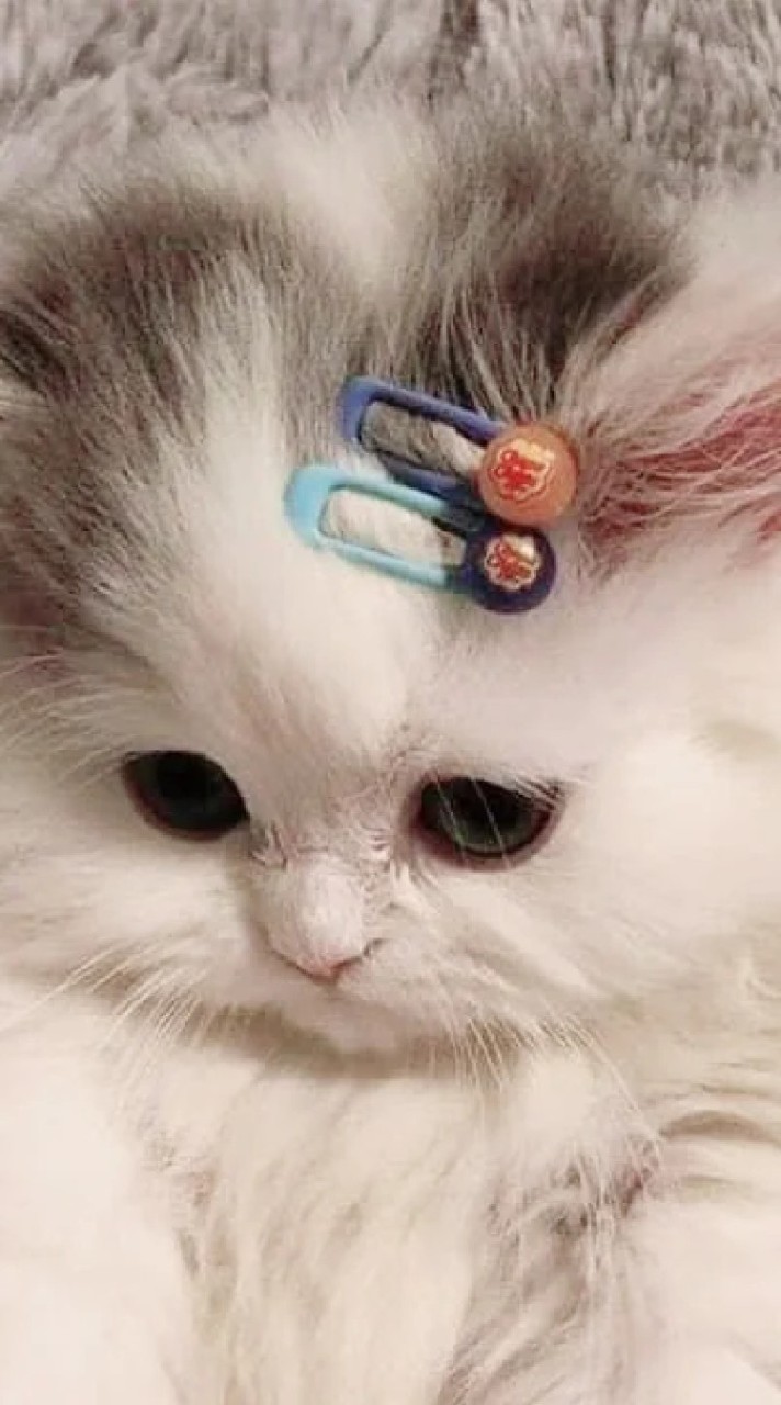 รับทำทุกอย่าง(ฟรี)