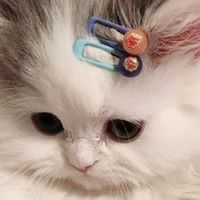 รับทำทุกอย่าง(ฟรี)