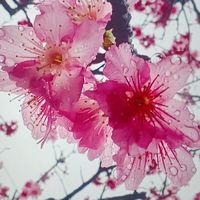 中高校生限定　皆で楽しもー