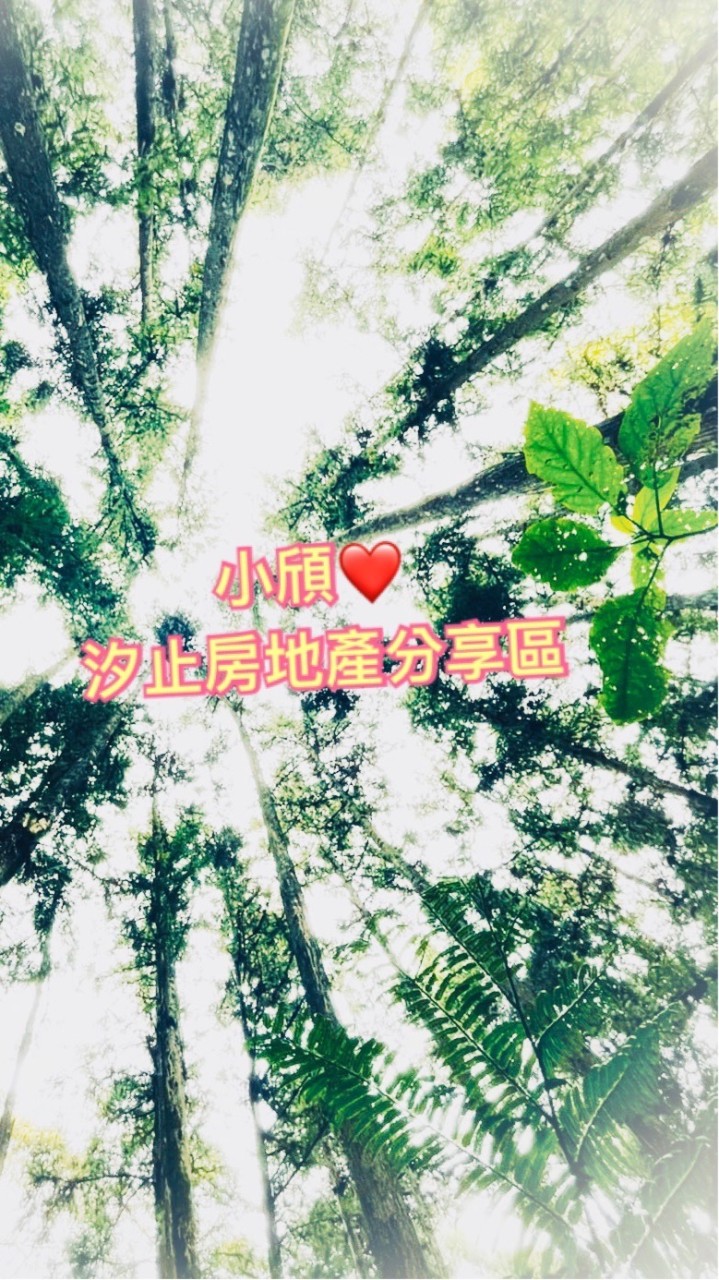 汐止汐科房地產❤️信義小頎(ㄑㄧˊ)