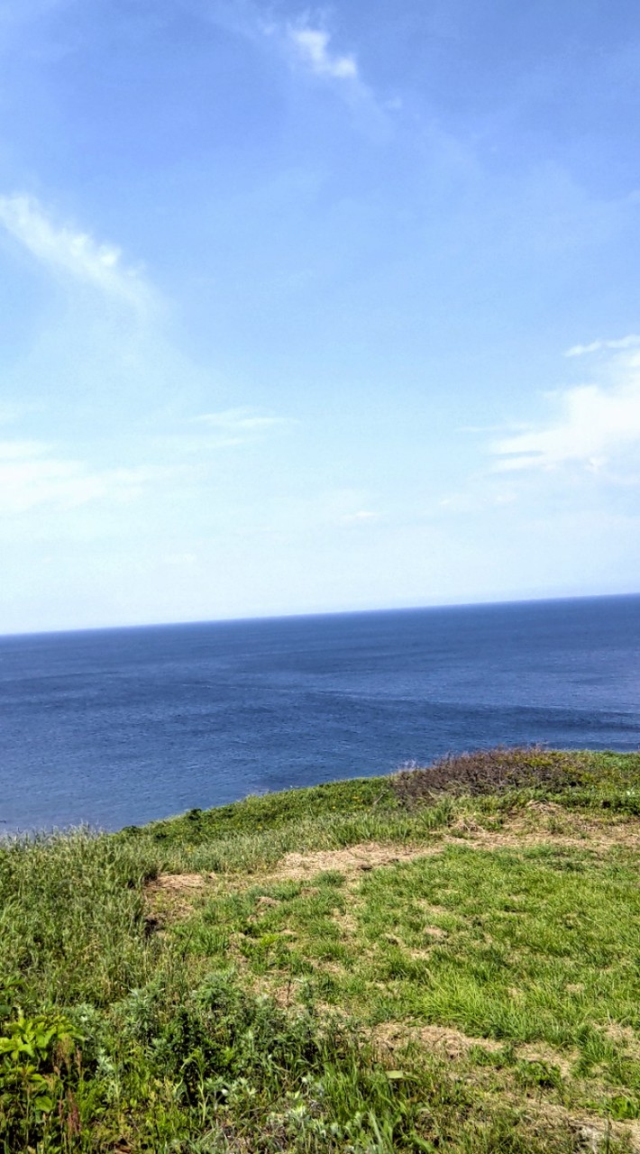 選挙に行こう!! 政治の話し、してみる会。お勧め報道番組を観ながら意見交換、情報交換しましょうの部屋