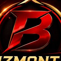 📌ทีมซัพพอร์ต เว็บไซต์ Bizmontra
