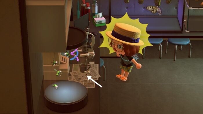 動物之森博物館螞蟻