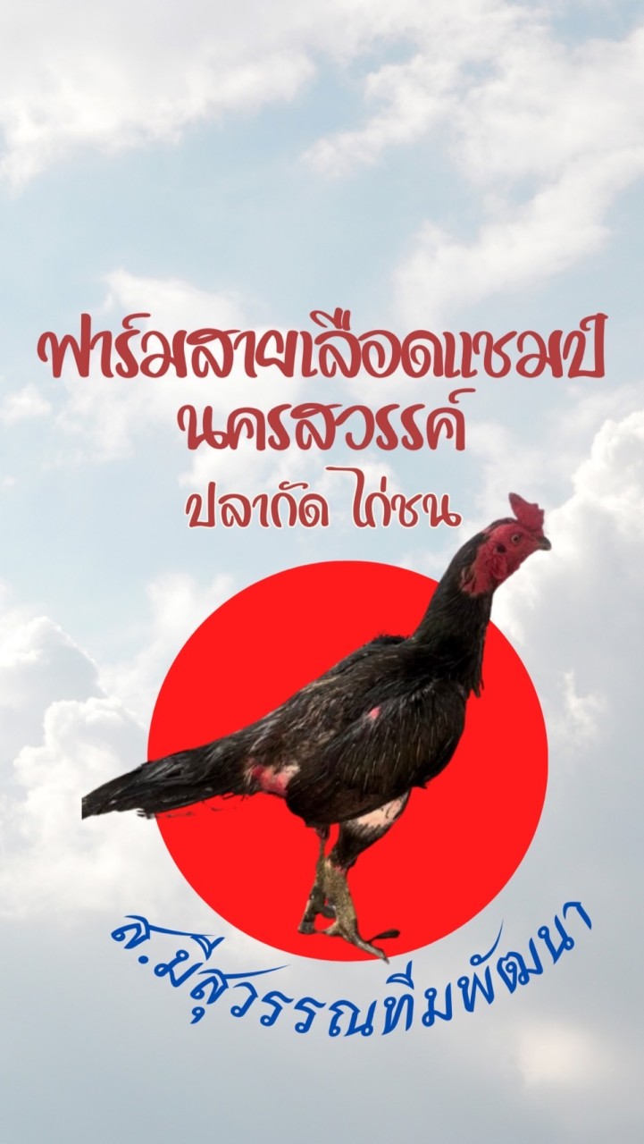 ฟาร์มไก่ชนสายเลือดแชมป์นครสวรรค์