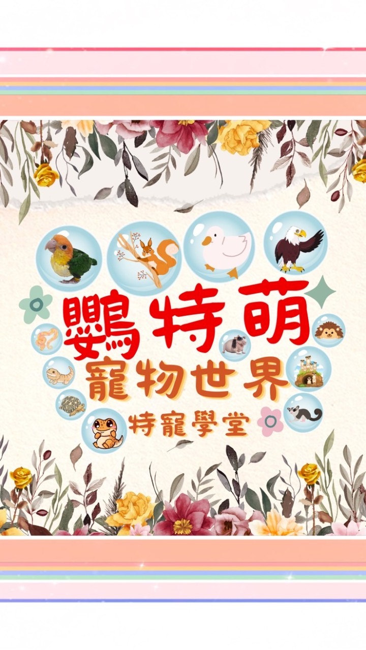 鸚特萌～親子館