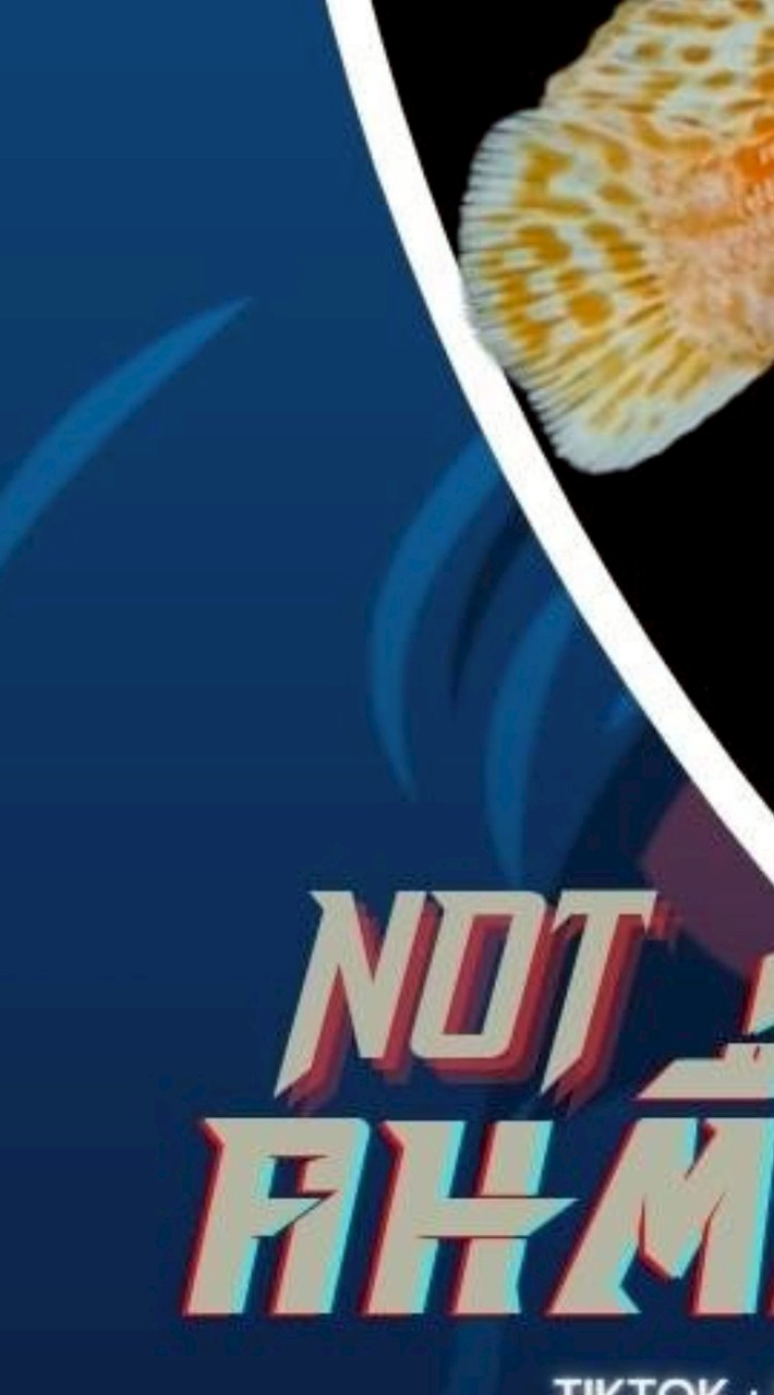NOT KhonTuenPla