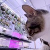 走路看鹿 | 植式對話小客廳