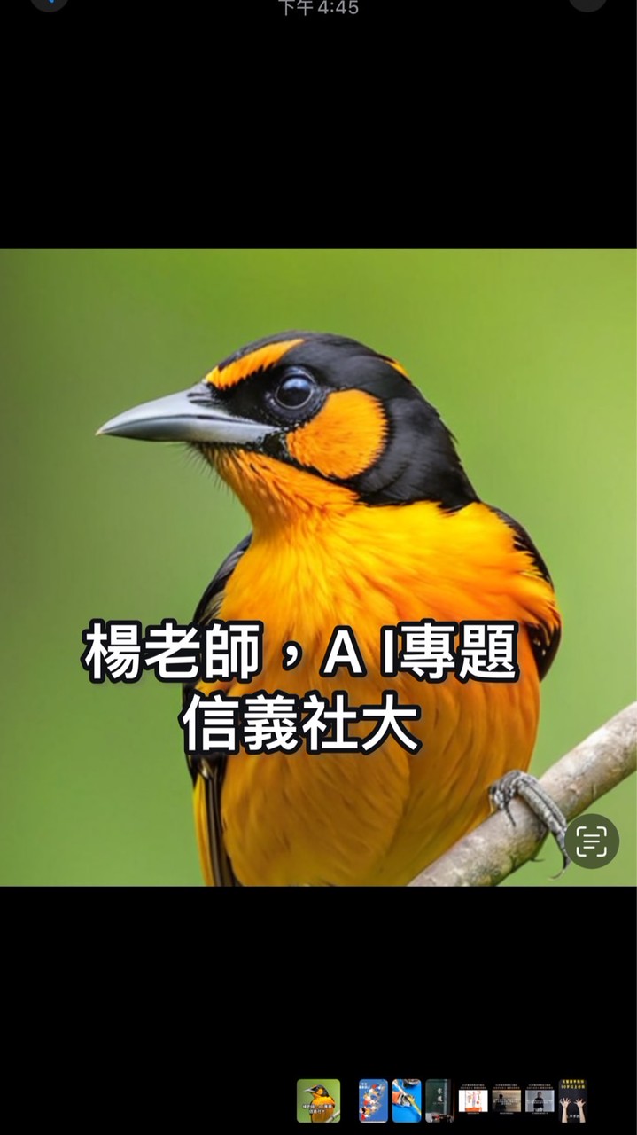 信義社大-楊老師AI專題-空手入AI-生圖勁練-高效實操
