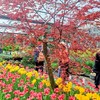 小罐國外旅遊