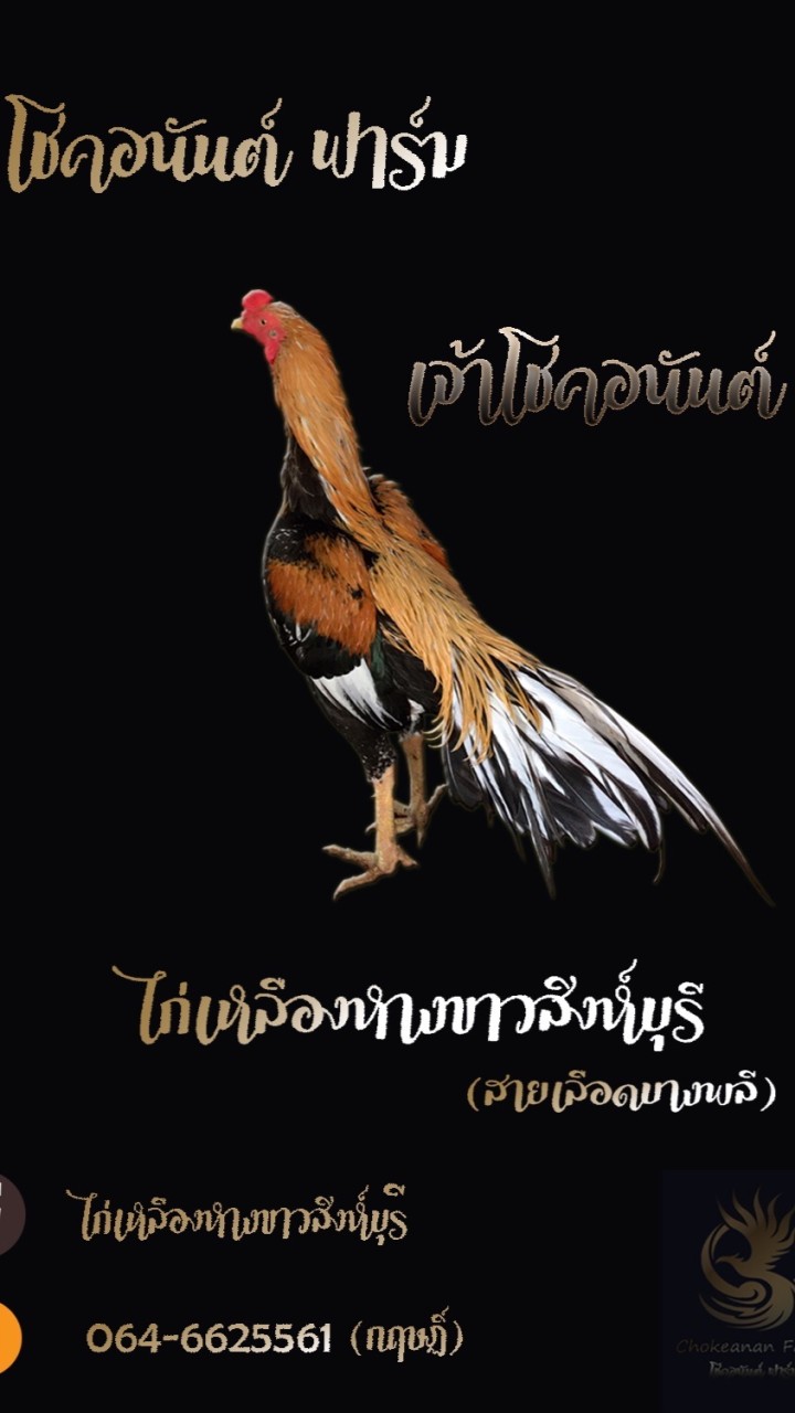 ไก่เหลืองหางขาว กลุ่มซื้อ/ขายทั้วโลก
