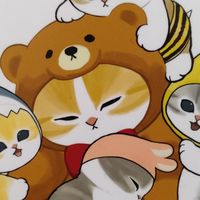 モフサンド🐱好き集まれ😘！！