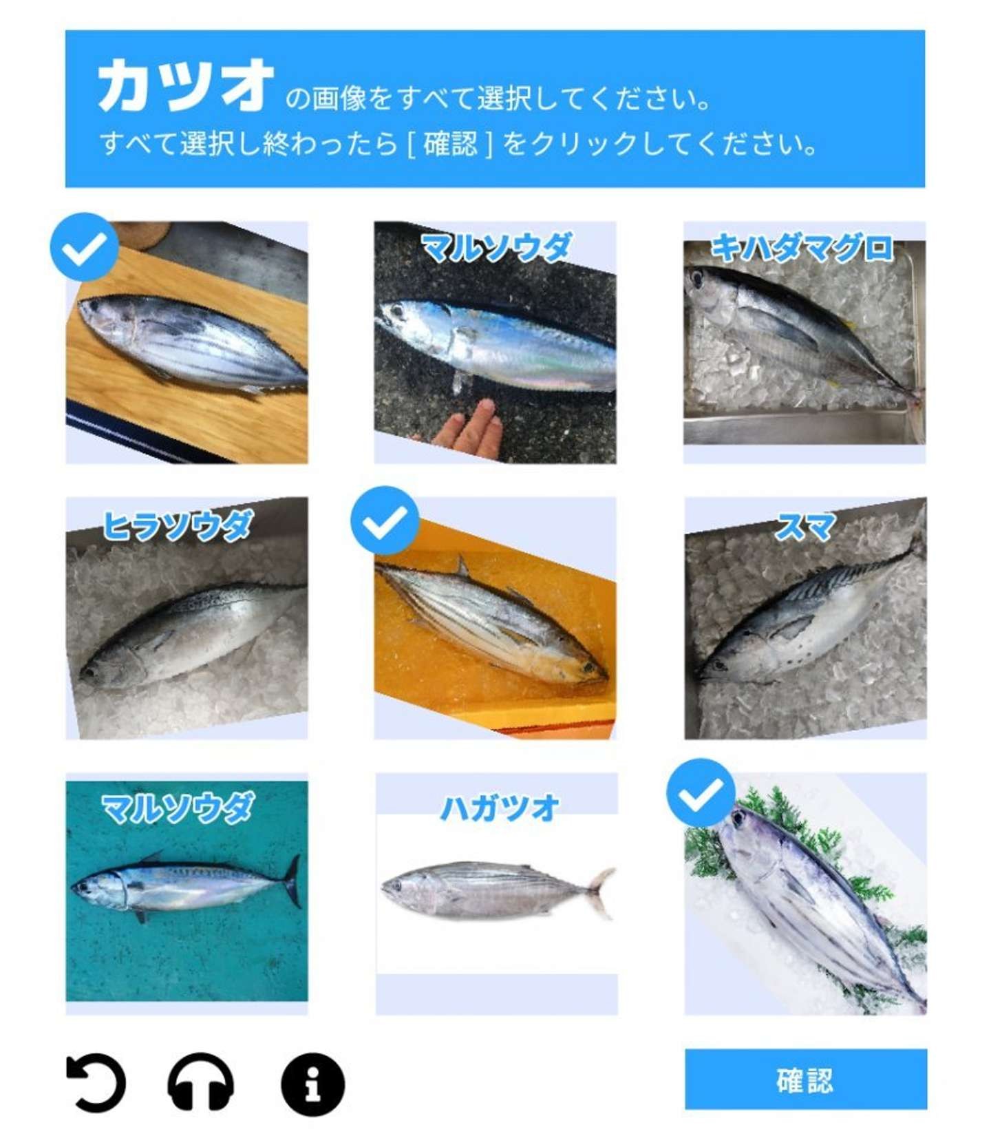 カツオの画像をすべて選択して 高知版 私はロボットではありません が高難度すぎる件 Jタウンネット