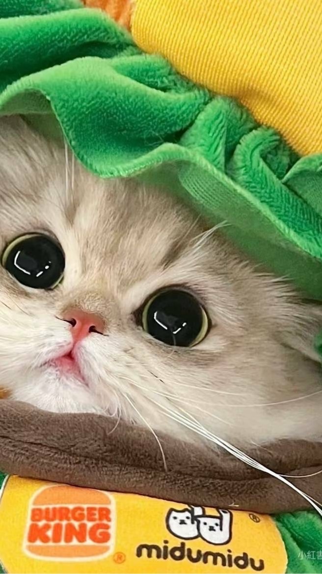 芋婉の的素材庫～🐰😖💕