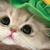 芋婉の的素材庫～🐰😖💕