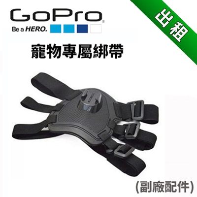 【GOPRO配件出租】 副廠商品 寵物綁帶 (最新趨勢以租代替買)