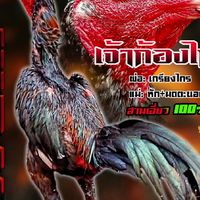ส.พูรดา ฟาร์ม