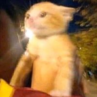 GOD