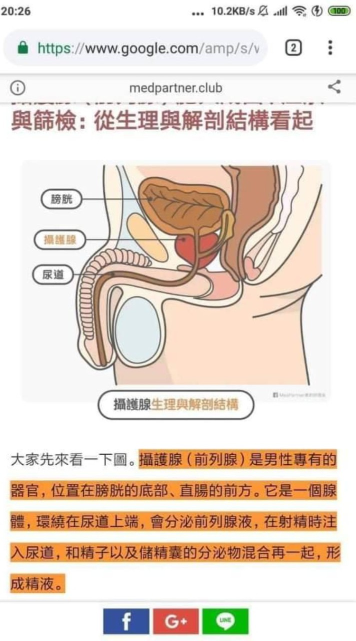 抓龍筋 新北  @cri9820L ✨不要在社群發問✨