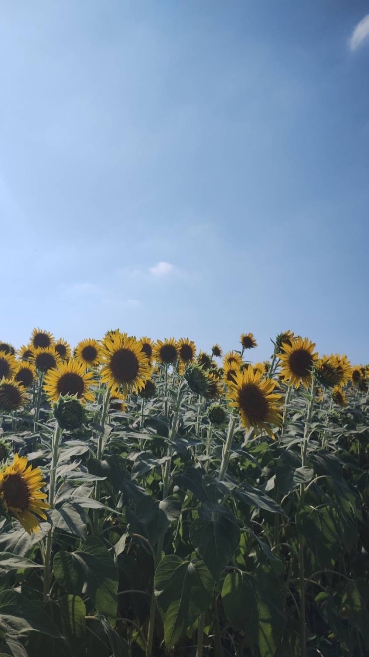 40歳以上🌈新生💫癒しの小部屋でひなたぼっこしませんか😊☘️☀️？