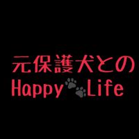 元保護犬とのHappy🐾Life