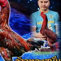 #🐓VIP ส.สนั่นฟาร์ม 🐓💸🤟🙏
