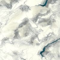 流動藝術紓壓交流群