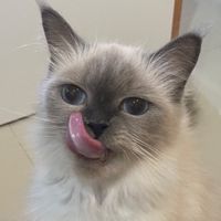 Usedbyeveqt_