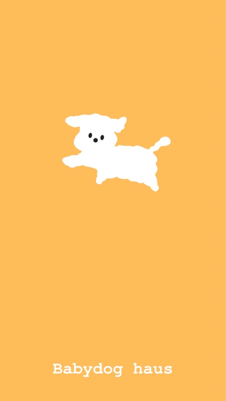 Babydog House🧸สุนัขเกรดพรีเมียม