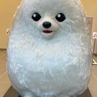 ギヴン好きの集い