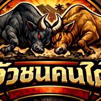 วัวชนคนใต้