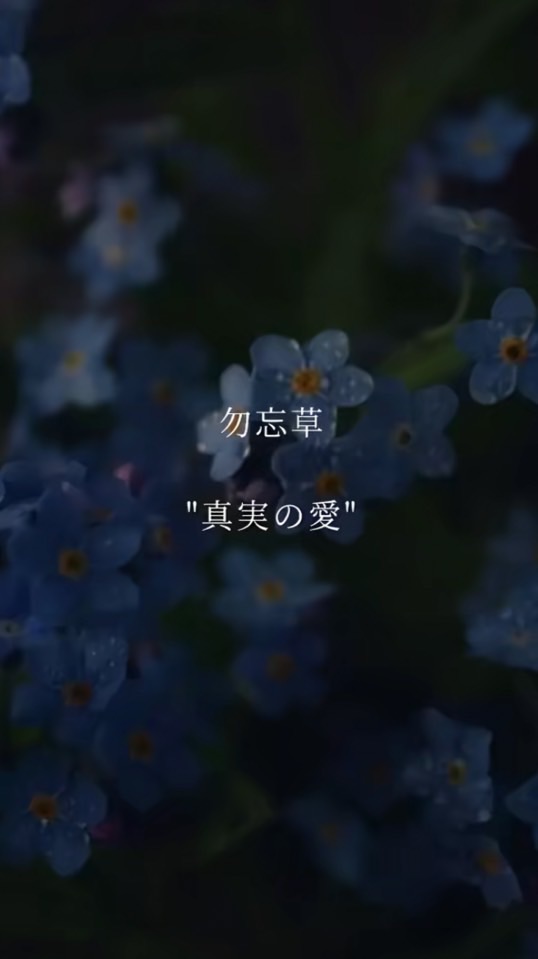 HQ　愛重 オプ　‪‪❤︎‬