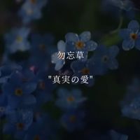 HQ　愛重 オプ　‪‪❤︎‬